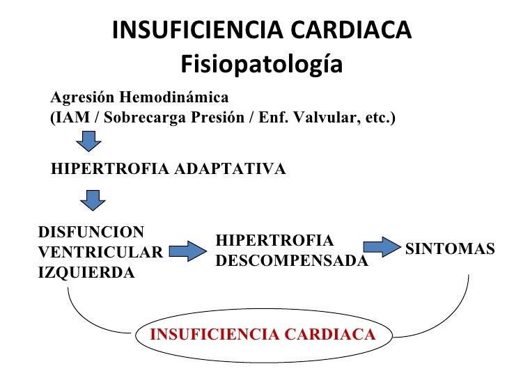 insuficiencia cardiaca congestiva fisiopatologia